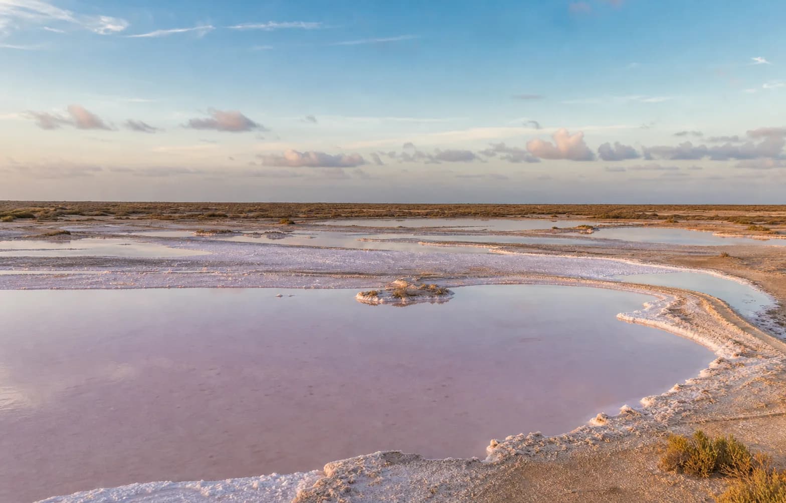 Salinas de Las Cumaraguas en Paraguaná