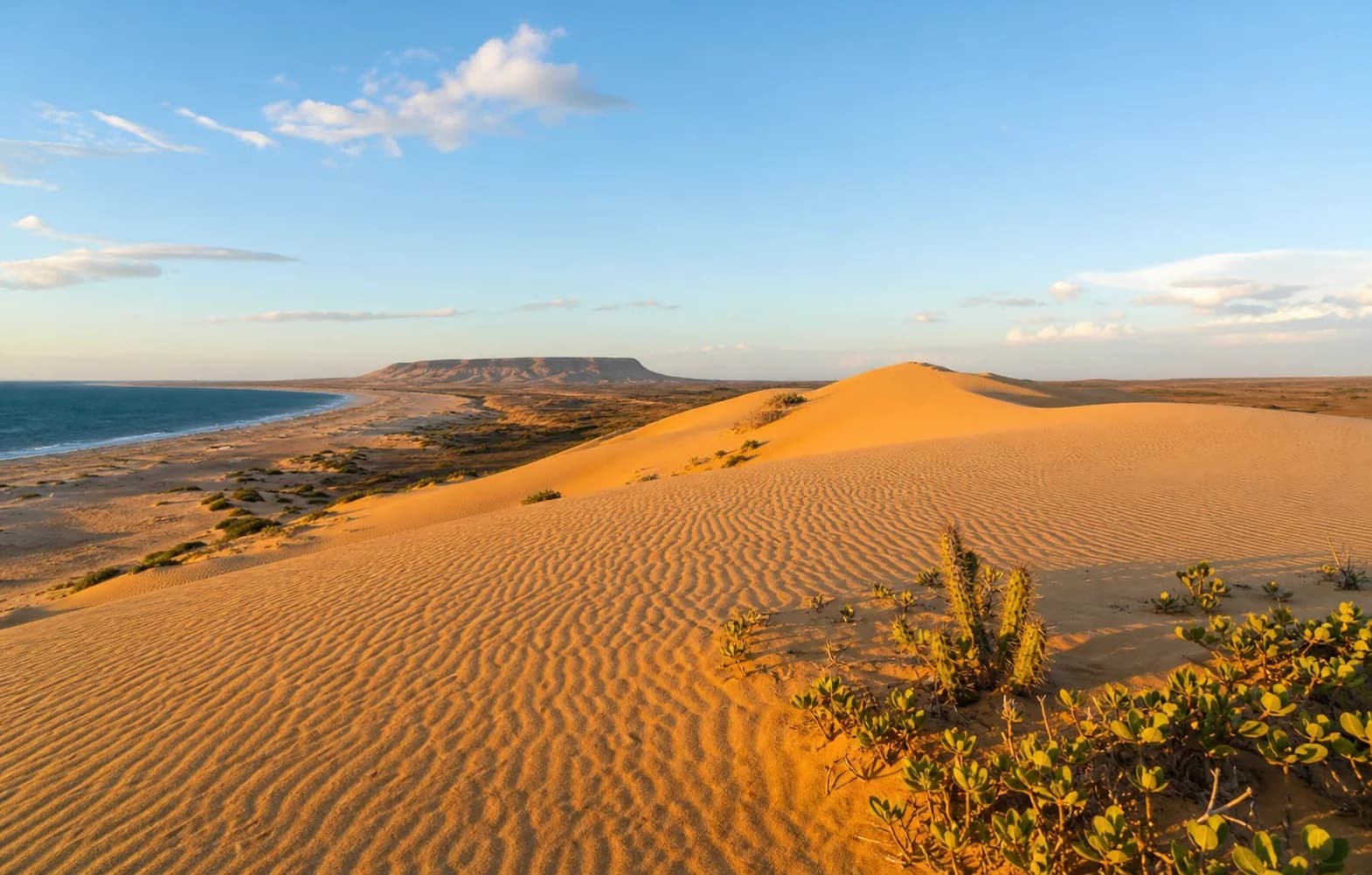 Dunas y costa en el paisaje de Paraguaná